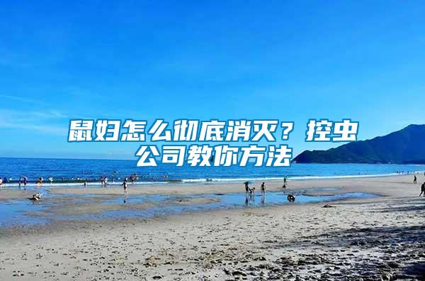 鼠婦怎么徹底消滅？控蟲公司教你方法