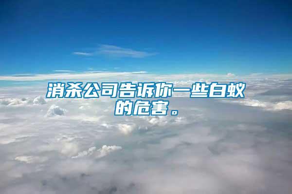 消殺公司告訴你一些白蟻的危害。