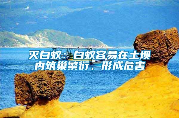 滅白蟻：白蟻容易在土壩內(nèi)筑巢繁衍，形成危害