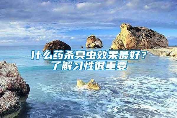 什么藥殺臭蟲效果最好？了解習(xí)性很重要