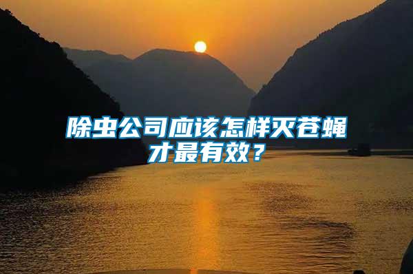 除蟲公司應(yīng)該怎樣滅蒼蠅才最有效？