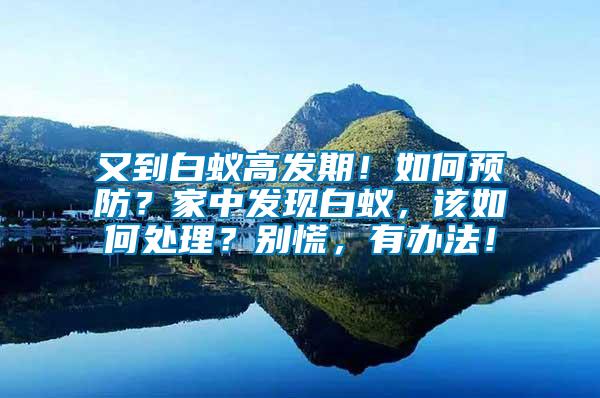 又到白蟻高發(fā)期！如何預(yù)防？家中發(fā)現(xiàn)白蟻，該如何處理？別慌，有辦法！