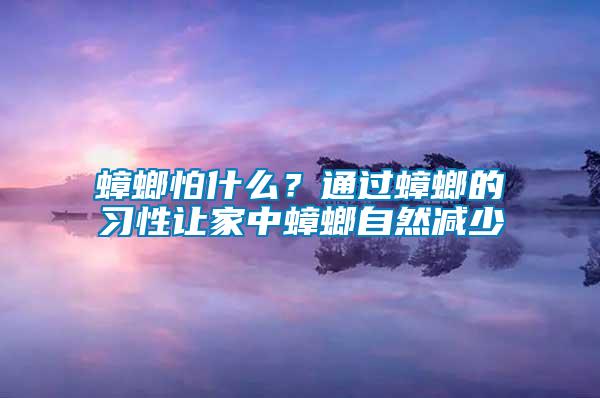 蟑螂怕什么？通過蟑螂的習性讓家中蟑螂自然減少