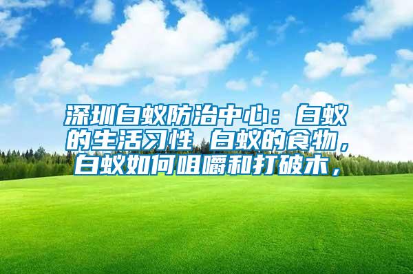 深圳白蟻防治中心：白蟻的生活習(xí)性 白蟻的食物，白蟻如何咀嚼和打破木，