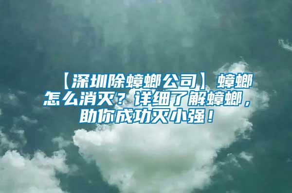 【深圳除蟑螂公司】蟑螂怎么消滅？詳細了解蟑螂，助你成功滅小強！