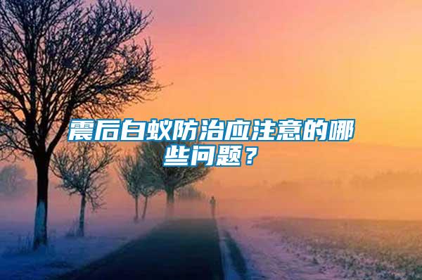 震后白蟻防治應注意的哪些問題？