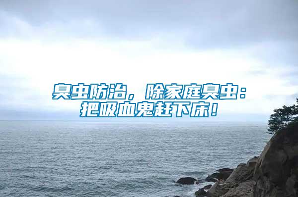 臭蟲防治，除家庭臭蟲：把吸血鬼趕下床！