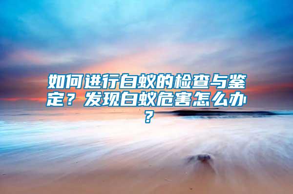 如何進(jìn)行白蟻的檢查與鑒定？發(fā)現(xiàn)白蟻危害怎么辦？