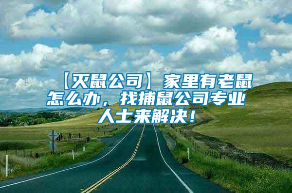 【滅鼠公司】家里有老鼠怎么辦，找捕鼠公司專業(yè)人士來解決！