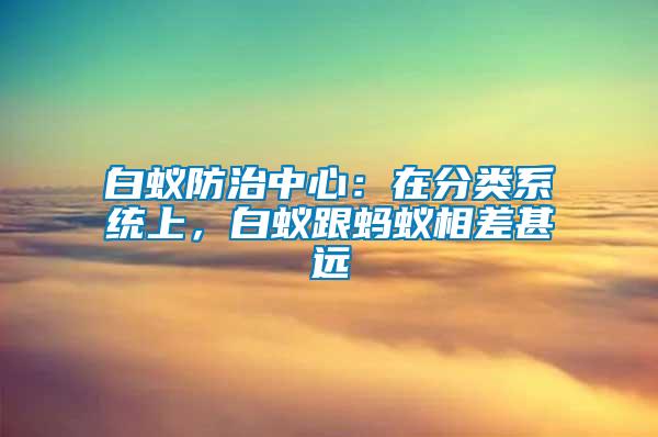 白蟻防治中心：在分類系統(tǒng)上，白蟻跟螞蟻相差甚遠(yuǎn)