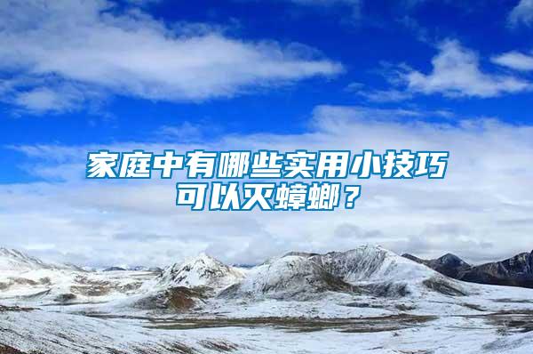 家庭中有哪些實用小技巧可以滅蟑螂？