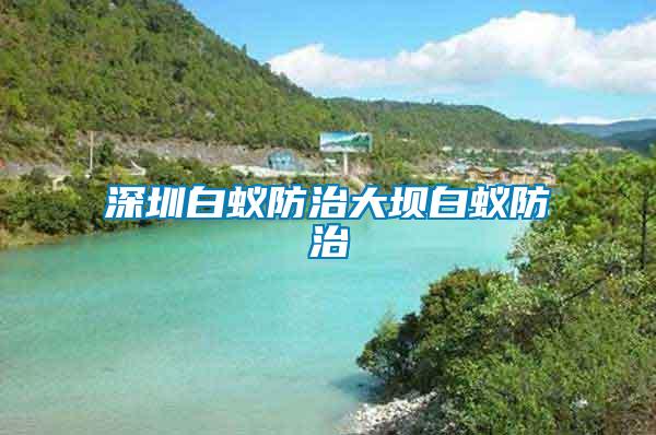 深圳白蟻防治大壩白蟻防治