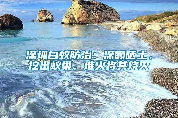 深圳白蟻防治：深翻曬土，挖出蟻巢，堆火將其燒滅