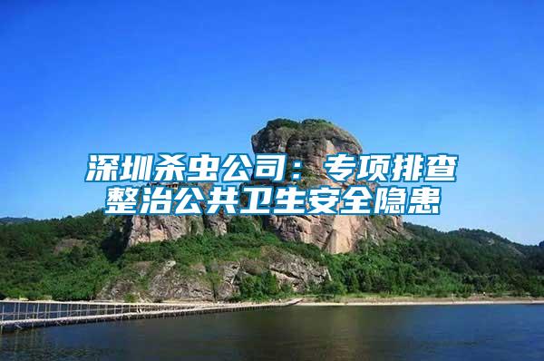 深圳殺蟲公司：專項排查整治公共衛(wèi)生安全隱患