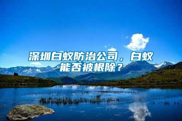 深圳白蟻防治公司，白蟻能否被根除？