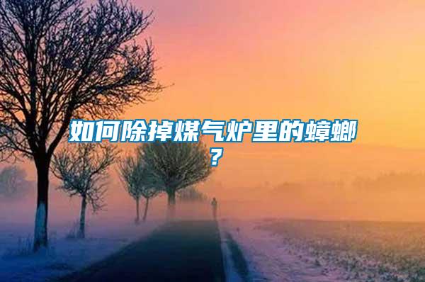 如何除掉煤氣爐里的蟑螂？