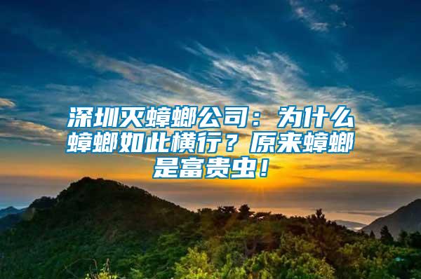 深圳滅蟑螂公司：為什么蟑螂如此橫行？原來(lái)蟑螂是富貴蟲！