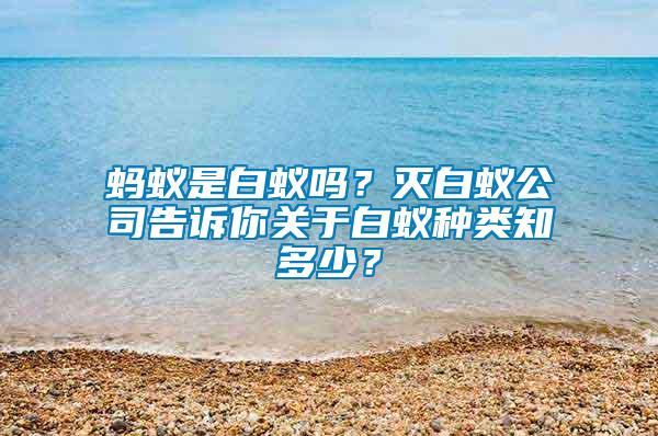 螞蟻是白蟻嗎？滅白蟻公司告訴你關(guān)于白蟻種類知多少？