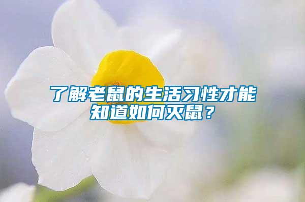 了解老鼠的生活習(xí)性才能知道如何滅鼠？