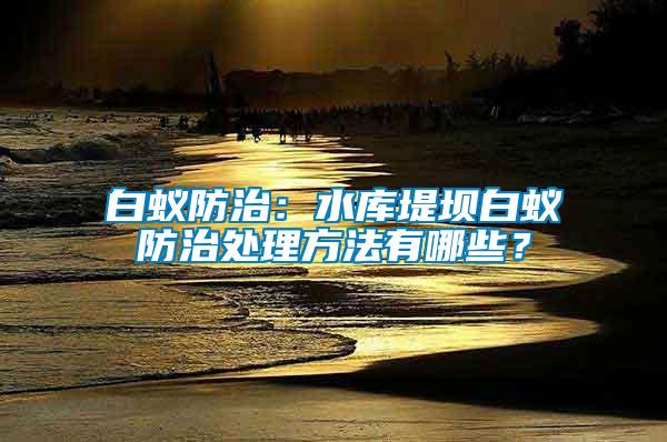 白蟻防治：水庫堤壩白蟻防治處理方法有哪些？