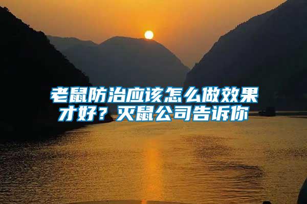 老鼠防治應(yīng)該怎么做效果才好？滅鼠公司告訴你