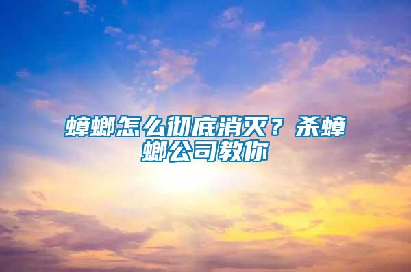 蟑螂怎么徹底消滅？殺蟑螂公司教你