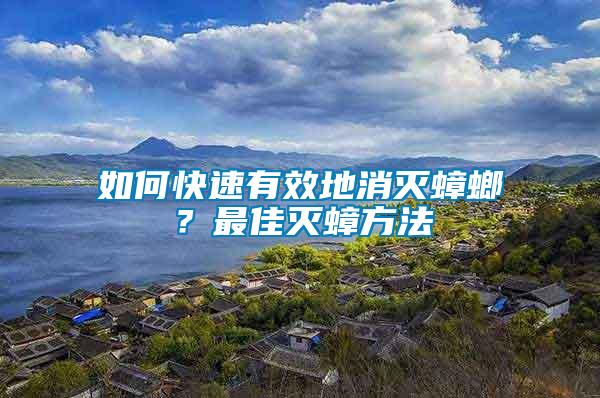 如何快速有效地消滅蟑螂？最佳滅蟑方法