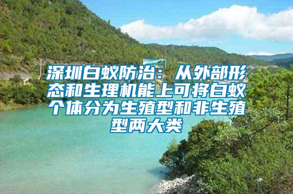 深圳白蟻防治：從外部形態(tài)和生理機能上可將白蟻個體分為生殖型和非生殖型兩大類