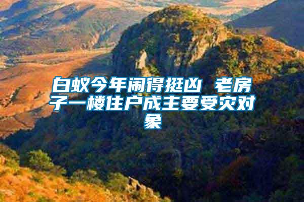 白蟻今年鬧得挺兇 老房子一樓住戶成主要受災(zāi)對象