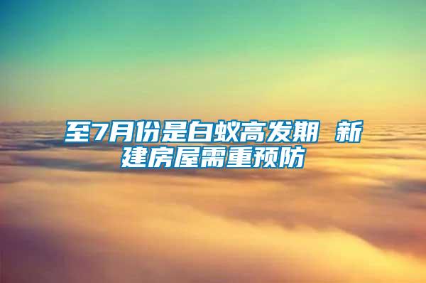 至7月份是白蟻高發(fā)期 新建房屋需重預(yù)防