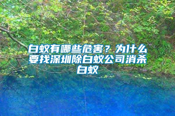 白蟻有哪些危害？為什么要找深圳除白蟻公司消殺白蟻