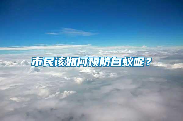 市民該如何預(yù)防白蟻呢？