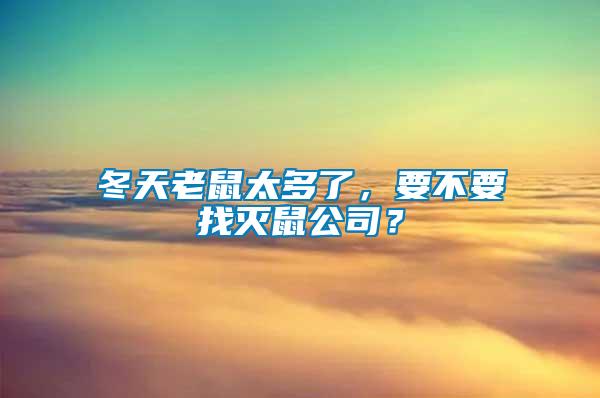 冬天老鼠太多了，要不要找滅鼠公司？