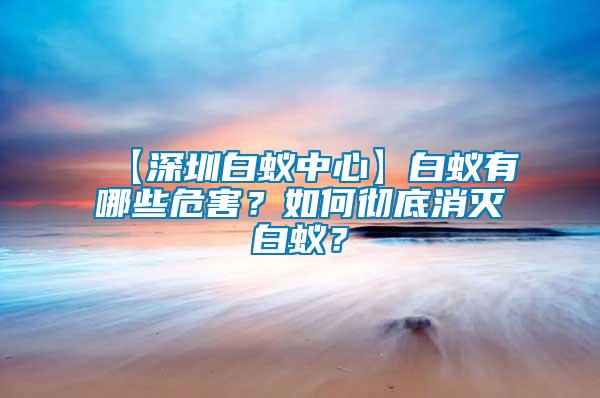 【深圳白蟻中心】白蟻有哪些危害？如何徹底消滅白蟻？