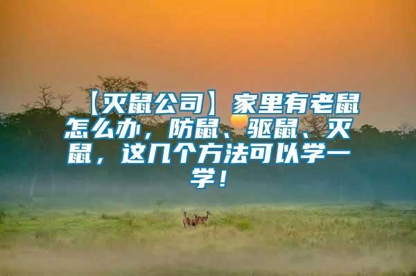 【滅鼠公司】家里有老鼠怎么辦，防鼠、驅鼠、滅鼠，這幾個方法可以學一學！