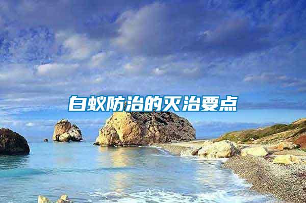 白蟻防治的滅治要點(diǎn)