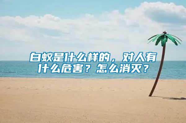 白蟻是什么樣的，對(duì)人有什么危害？怎么消滅？