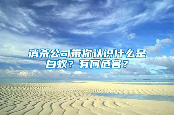 消殺公司帶你認(rèn)識(shí)什么是白蟻？有何危害？