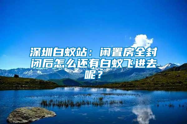 深圳白蟻站：閑置房全封閉后怎么還有白蟻飛進去呢？