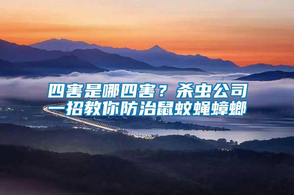 四害是哪四害？殺蟲公司一招教你防治鼠蚊蠅蟑螂