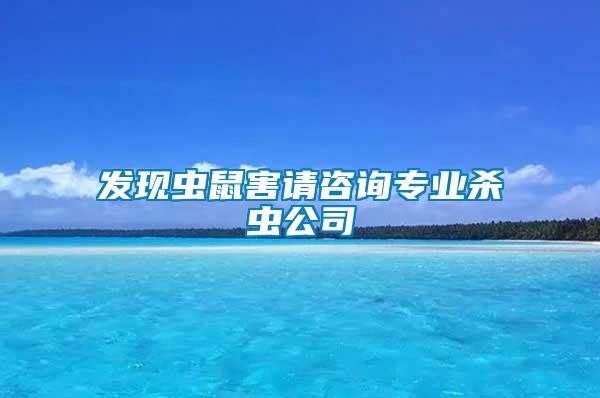 發(fā)現(xiàn)蟲鼠害請咨詢專業(yè)殺蟲公司