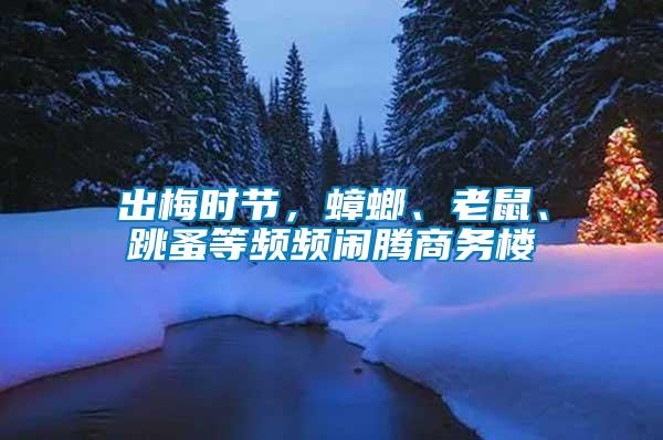 出梅時節(jié)，蟑螂、老鼠、跳蚤等頻頻鬧騰商務樓