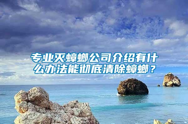 專業(yè)滅蟑螂公司介紹有什么辦法能徹底清除蟑螂？