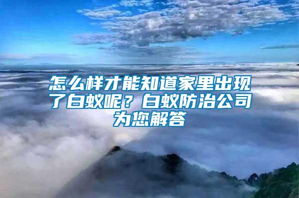 怎么樣才能知道家里出現(xiàn)了白蟻呢？白蟻防治公司為您解答