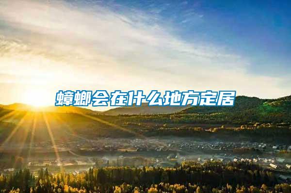 蟑螂會(huì)在什么地方定居