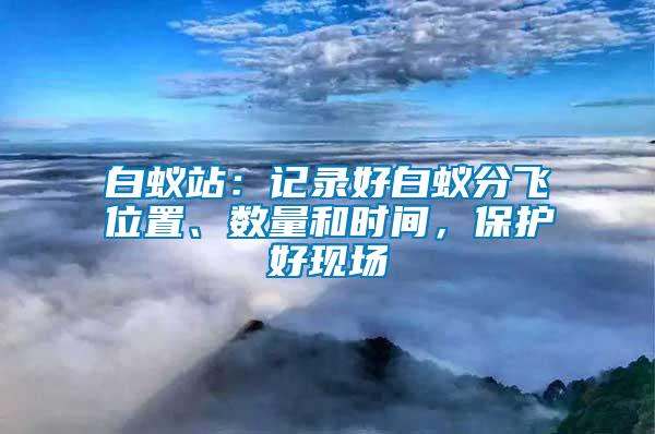 白蟻站：記錄好白蟻分飛位置、數(shù)量和時(shí)間，保護(hù)好現(xiàn)場(chǎng)