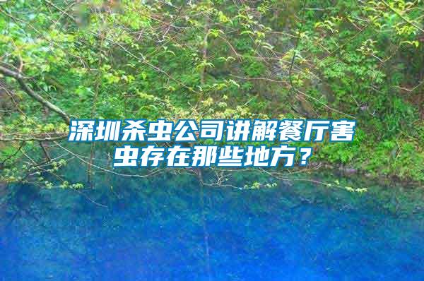 深圳殺蟲公司講解餐廳害蟲存在那些地方？