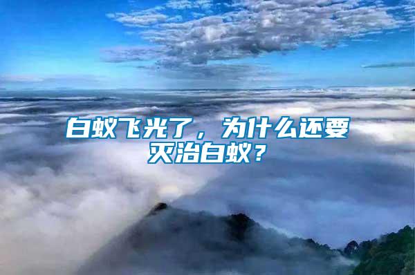 白蟻飛光了，為什么還要滅治白蟻？