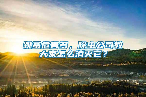 跳蚤危害多，除蟲公司教大家怎么消滅它？