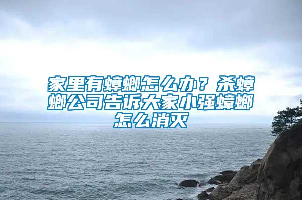 家里有蟑螂怎么辦？殺蟑螂公司告訴大家小強(qiáng)蟑螂怎么消滅